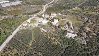 Οικόπεδο 529,60 τ.μ. για πώληση, Αργολίδα, Ερμιόνη-thumb-17