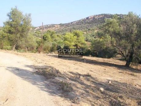 Αγροτεμάχια 6.215τ.μ. για πώληση-Ερμιόνη