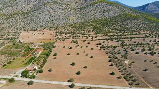 Αγροτεμάχια 31.323 τ.μ. για πώληση, Αργολίδα, Κρανίδι-thumb-11
