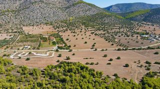 Αγροτεμάχια 31.323 τ.μ. για πώληση, Αργολίδα, Κρανίδι-thumb-5