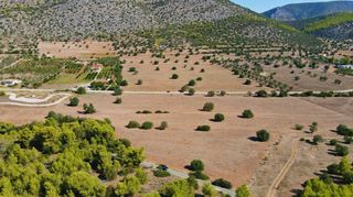 Αγροτεμάχια 31.323 τ.μ. για πώληση, Αργολίδα, Κρανίδι-thumb-4