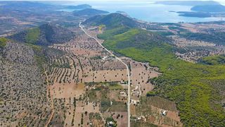 Αγροτεμάχια 31.323 τ.μ. για πώληση, Αργολίδα, Κρανίδι-thumb-18