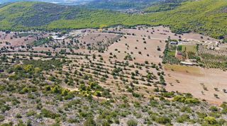 Αγροτεμάχια 31.323 τ.μ. για πώληση, Αργολίδα, Κρανίδι-thumb-12
