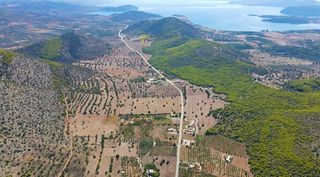 Αγροτεμάχια 31.323 τ.μ. για πώληση, Αργολίδα, Κρανίδι-thumb-1