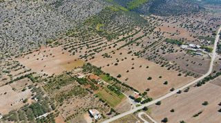 Αγροτεμάχια 31.323 τ.μ. για πώληση, Αργολίδα, Κρανίδι-thumb-2