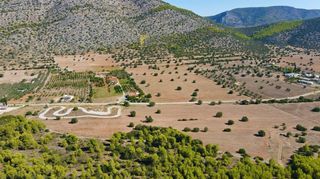 Αγροτεμάχια 31.323 τ.μ. για πώληση, Αργολίδα, Κρανίδι-thumb-6