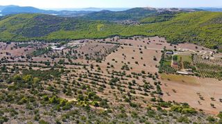Αγροτεμάχια 31.323 τ.μ. για πώληση, Αργολίδα, Κρανίδι-thumb-13