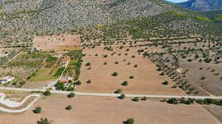 Αγροτεμάχια 31.323 τ.μ. για πώληση, Αργολίδα, Κρανίδι-thumb-9