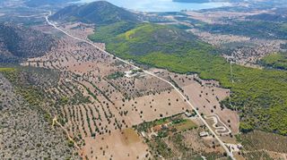 Αγροτεμάχια 31.323 τ.μ. για πώληση, Αργολίδα, Κρανίδι-thumb-17