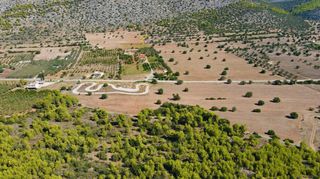 Αγροτεμάχια 31.323 τ.μ. για πώληση, Αργολίδα, Κρανίδι-thumb-7