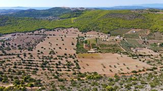 Αγροτεμάχια 31.323 τ.μ. για πώληση, Αργολίδα, Κρανίδι-thumb-14