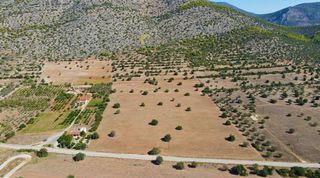 Αγροτεμάχια 31.323 τ.μ. για πώληση, Αργολίδα, Κρανίδι-thumb-10
