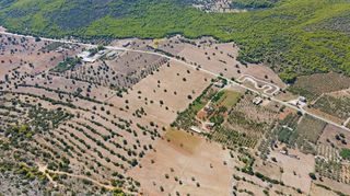 Αγροτεμάχια 31.323 τ.μ. για πώληση, Αργολίδα, Κρανίδι-thumb-15