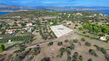 Αγροτεμάχια 4.255 τ.μ. για πώληση