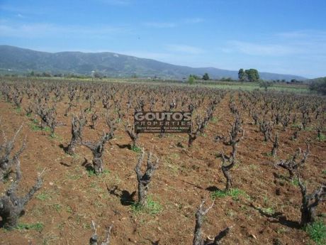 Αγροτεμάχια 4.016τ.μ. για πώληση-Ερμιόνη