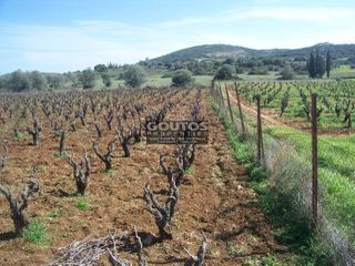 Αγροτεμάχια 4.016 τ.μ. για πώληση, Αργολίδα, Ερμιόνη-thumb-1