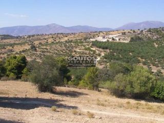 Αγροτεμάχια 15.799 τ.μ. για πώληση, Αργολίδα, Κρανίδι-thumb-4