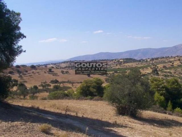 Αγροτεμάχια 15.799 τ.μ. για πώληση, Αργολίδα, Κρανίδι
