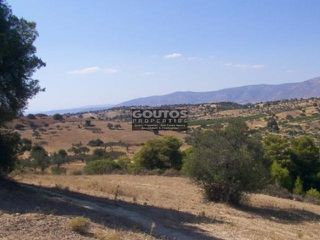 Αγροτεμάχια 15.799 τ.μ. για πώληση