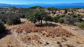 Αγροτεμάχια 6.421 τ.μ. για πώληση, Αργολίδα, Κρανίδι-thumb-7