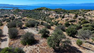 Αγροτεμάχια 6.421 τ.μ. για πώληση, Αργολίδα, Κρανίδι-thumb-11