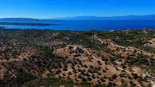 Αγροτεμάχια 6.421 τ.μ. για πώληση, Αργολίδα, Κρανίδι-thumb-6