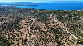 Αγροτεμάχια 6.421 τ.μ. για πώληση, Αργολίδα, Κρανίδι-thumb-13