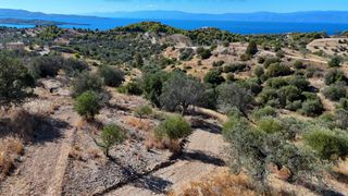 Αγροτεμάχια 6.421 τ.μ. για πώληση, Αργολίδα, Κρανίδι-thumb-9