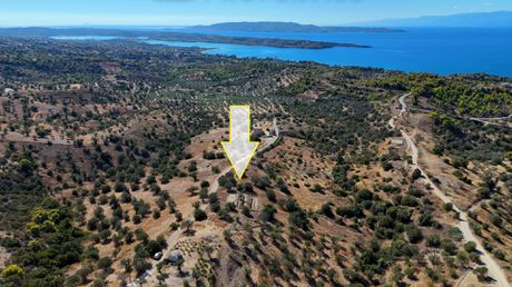 Αγροτεμάχια 6.421τ.μ. για πώληση-Κρανίδι
