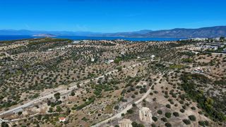 Αγροτεμάχια 6.421 τ.μ. για πώληση, Αργολίδα, Κρανίδι-thumb-18