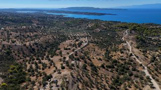 Αγροτεμάχια 6.421 τ.μ. για πώληση, Αργολίδα, Κρανίδι-thumb-14