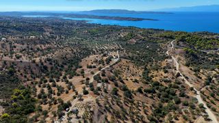 Αγροτεμάχια 6.421 τ.μ. για πώληση, Αργολίδα, Κρανίδι-thumb-3