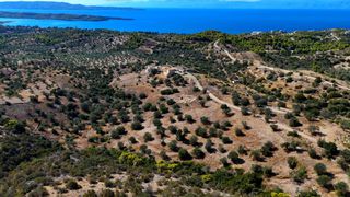 Αγροτεμάχια 6.421 τ.μ. για πώληση, Αργολίδα, Κρανίδι-thumb-4