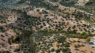 Αγροτεμάχια 6.421 τ.μ. για πώληση, Αργολίδα, Κρανίδι-thumb-22