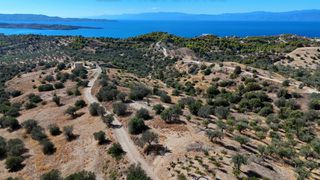Αγροτεμάχια 6.421 τ.μ. για πώληση, Αργολίδα, Κρανίδι-thumb-10