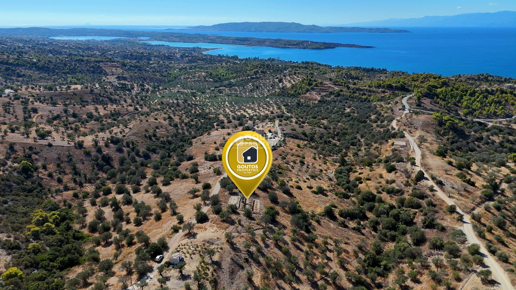Αγροτεμάχια 6.421 τ.μ. για πώληση, Αργολίδα, Κρανίδι