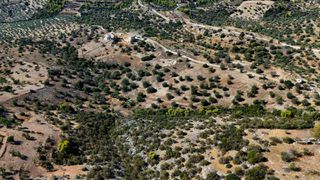Αγροτεμάχια 6.421 τ.μ. για πώληση, Αργολίδα, Κρανίδι-thumb-21