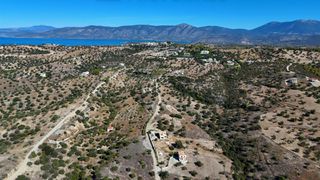 Αγροτεμάχια 6.421 τ.μ. για πώληση, Αργολίδα, Κρανίδι-thumb-15