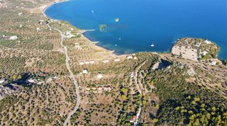 Οικόπεδο 15.030 τ.μ. για πώληση, Αργολίδα, Ερμιόνη-thumb-4