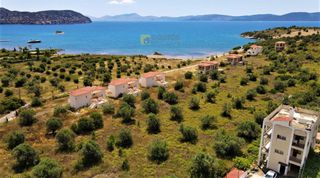 Οικόπεδο 15.030 τ.μ. για πώληση, Αργολίδα, Ερμιόνη-thumb-12