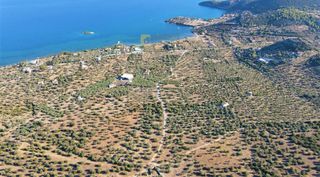 Οικόπεδο 15.030 τ.μ. για πώληση, Αργολίδα, Ερμιόνη-thumb-3