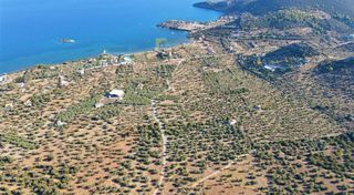 Οικόπεδο 15.030 τ.μ. για πώληση, Αργολίδα, Ερμιόνη-thumb-11