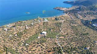 Οικόπεδο 15.030 τ.μ. για πώληση, Αργολίδα, Ερμιόνη-thumb-15