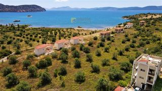 Οικόπεδο 15.030 τ.μ. για πώληση, Αργολίδα, Ερμιόνη-thumb-7
