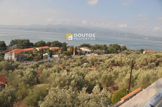 Ξενοδοχείο 818,50 τ.μ. για πώληση, Ν. Λέσβου, Λέσβος - Μυτιλήνη-thumb-2