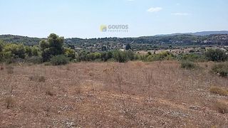 Αγροτεμάχια 6.500 τ.μ. για πώληση, Αργολίδα, Κρανίδι-thumb-24