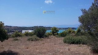 Αγροτεμάχια 6.500 τ.μ. για πώληση, Αργολίδα, Κρανίδι-thumb-25