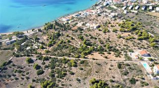 Αγροτεμάχια 6.500 τ.μ. για πώληση, Αργολίδα, Κρανίδι-thumb-8
