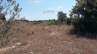 Αγροτεμάχια 6.500 τ.μ. για πώληση, Αργολίδα, Κρανίδι-thumb-23