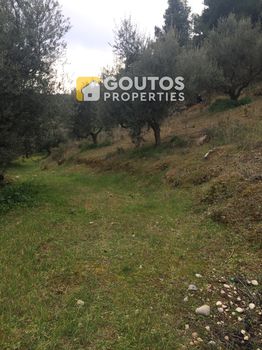 Οικόπεδο 2.145 τ.μ. για πώληση